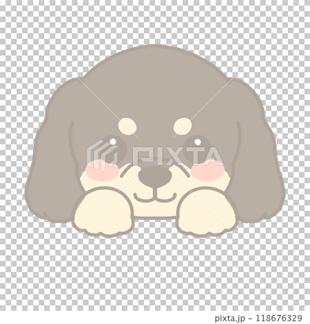 臘腸犬的插圖 118676329