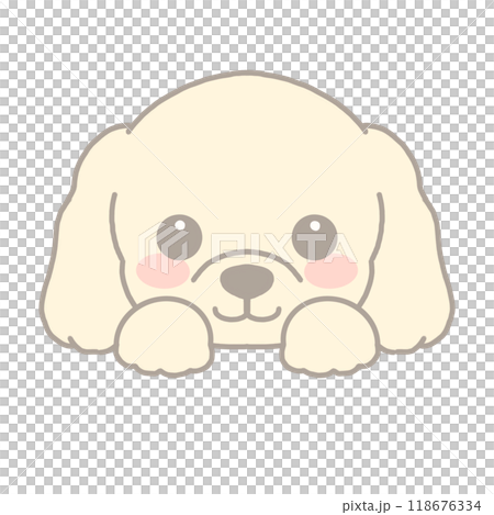 Illustration of dachshund 118676334