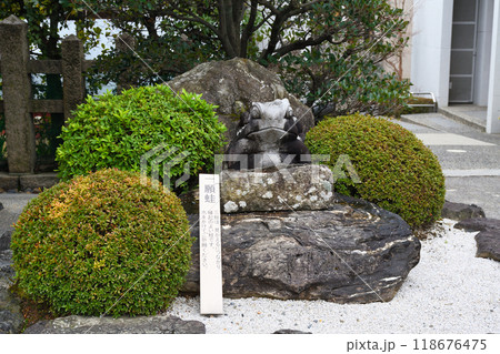 西院春日神社 一願蛙(京都府京都市右京区) 西院春日神社 一願蛙(京都府京都市右京区) 118676475