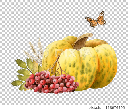 Yellow green pumpkin with wheat, rowan berries and orange butterfly watercolor isolated illustration. Realistic fall harvest design. Autumn ripe vegetable and plants drawing for Thanksgiving 118676596