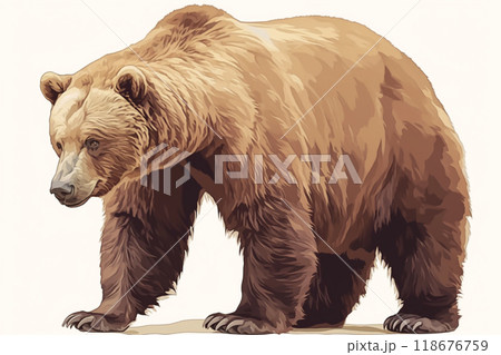 リアルなヒグマのイラスト素材 [118676759] - PIXTA