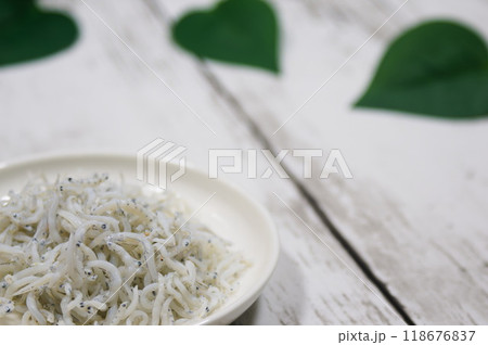 ちりめんじゃこの原料、シラス (シラス(Whitebait)) ちりめんじゃこの原料、シラス (シラス(Whitebait)) 118676837