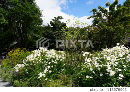 山梨県北杜市清里の複合観光エリア　萌木の村 118676961