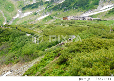夏の高原に建つ山小屋 夏の高原に建つ山小屋 118677234