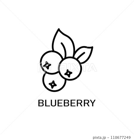 Blueberry icon. Thin line blueberry icon from vegetables and fruits collection. Outline vector isolated on white background. Editable blueberry symbol can be used web and mobile Blueberry icon. Thin line blueberry icon from vegetables and fruits collection. Outline vector isolated on white background. Editable blueberry symbol can be used web and mobile 118677249