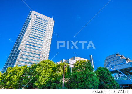 日本の東京都市景観 9月。世田谷ビジネススクエアタワー棟（GMOインターネットTOWER）などを望む 118677331
