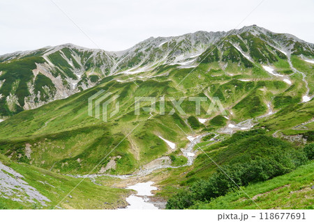 室堂平から望む初夏の立山 室堂平から望む初夏の立山 118677691