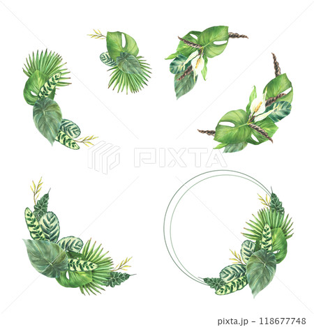 Tropical green leaves wreath set. Watercolor Exotic greenery plant and white flowers circle frame. Monstera palm and variety of leaf types template. Hand drawn illustration isolated from background. Tropical green leaves wreath set. Watercolor Exotic greenery plant and white flowers circle frame. Monstera palm and variety of leaf types template. Hand drawn illustration isolated from background. 118677748