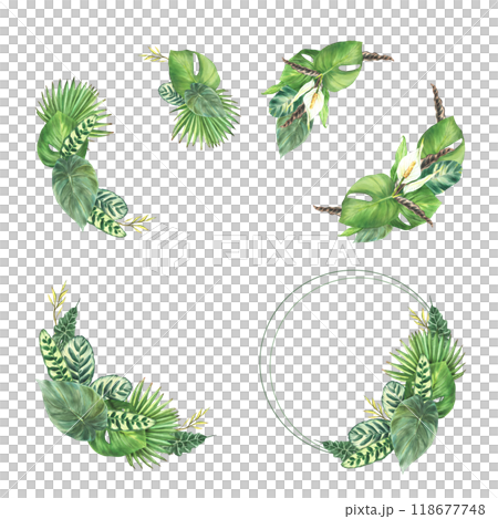 Tropical green leaves wreath set. Watercolor Exotic greenery plant and white flowers circle frame. Monstera palm and variety of leaf types template. Hand drawn illustration isolated from background. Tropical green leaves wreath set. Watercolor Exotic greenery plant and white flowers circle frame. Monstera palm and variety of leaf types template. Hand drawn illustration isolated from background. 118677748