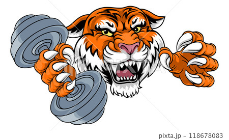 Tiger Weight Lifting Dumbbell Gym Animal Mascot 118678083