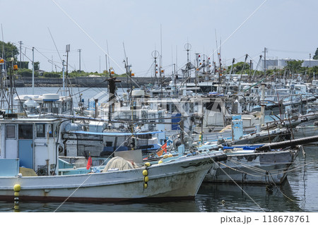 シラスの漁獲量全国一位の篠島漁港 シラスの漁獲量全国一位の篠島漁港 118678761