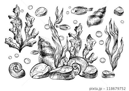 Underwater world clipart with sea animals fishes, shells, coral and algae. Graphic illustration hand drawn in black ink. Set of isolated objects EPS vector. 118679752