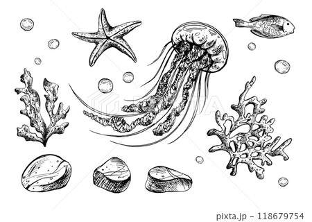 Jellyfish, shells, starfish, fish, bubbles, pebbles and other sea animals and plants. Graphic illustration hand drawn in black ink. Set of isolated objects EPS vector. Jellyfish, shells, starfish, fish, bubbles, pebbles and other sea animals and plants. Graphic illustration hand drawn in black ink. Set of isolated objects EPS vector. 118679754