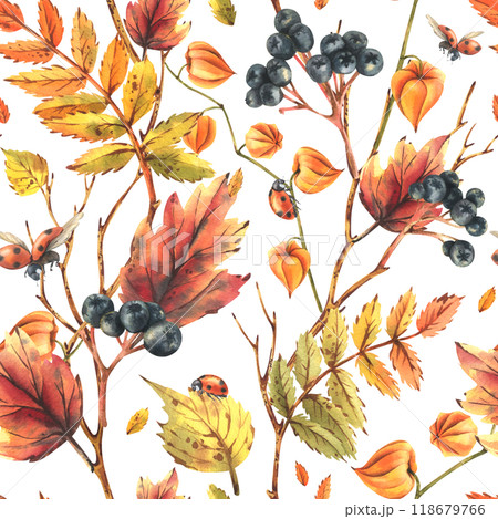 Autumn berries physalis, chokeberry, rowan leaves, maple, birch, tree branches and ladybugs. Watercolor illustrations. Seamless pattern on a white background Autumn berries physalis, chokeberry, rowan leaves, maple, birch, tree branches and ladybugs. Watercolor illustrations. Seamless pattern on a white background 118679766