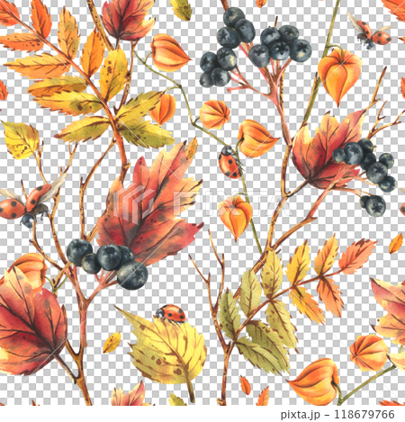 Autumn berries physalis, chokeberry, rowan leaves, maple, birch, tree branches and ladybugs. Watercolor illustrations. Seamless pattern on a white background Autumn berries physalis, chokeberry, rowan leaves, maple, birch, tree branches and ladybugs. Watercolor illustrations. Seamless pattern on a white background 118679766
