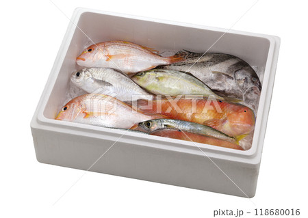 鮮魚ボックス 118680016