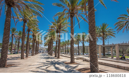 Palm trees on Alley Mish'ol HaPninim Garden leading to the Damascus Gate timelapse hyperlapse in Jerusalem Old City, Israel. Palm trees on Alley Mish'ol HaPninim Garden leading to the Damascus Gate timelapse hyperlapse in Jerusalem Old City, Israel. 118680818