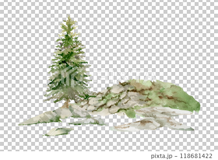 Scenery landscape of forest meadow grassland with bushes flowers, pine fir spruce tree alpine vista rocks hand drawn in watercolor. Illustration for tourism, resort ads, hiking camping sites vacation. Scenery landscape of forest meadow grassland with bushes flowers, pine fir spruce tree alpine vista rocks hand drawn in watercolor. Illustration for tourism, resort ads, hiking camping sites vacation. 118681422