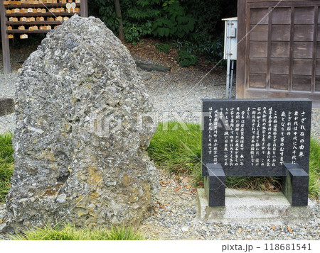 滋賀県 多賀大社 さざれ石 8月 滋賀県 多賀大社 さざれ石 8月 118681541