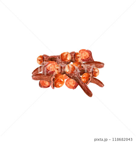 Clove spice heap illustration composition watercolor isolated on white background, hand drawn for food design. Great for spice box, restaurant, cafe menu, recipes, natural organic food ads and label Clove spice heap illustration composition watercolor isolated on white background, hand drawn for food design. Great for spice box, restaurant, cafe menu, recipes, natural organic food ads and label 118682043