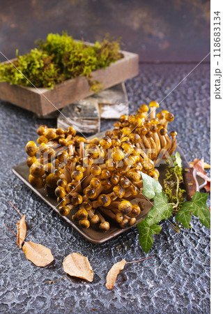 beautiful autumn honey fungus, raw mushrooms 118683134