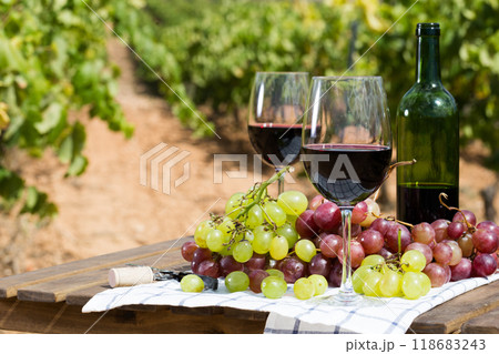 Still life with glass of red wine and grapes Still life with glass of red wine and grapes 118683243