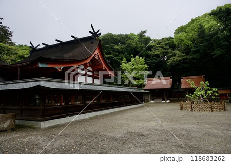 宗像大社 辺津宮(福岡県宗像市) 宗像大社 辺津宮(福岡県宗像市) 118683262
