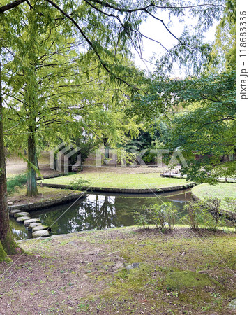 新緑に包まれた公園 118683336