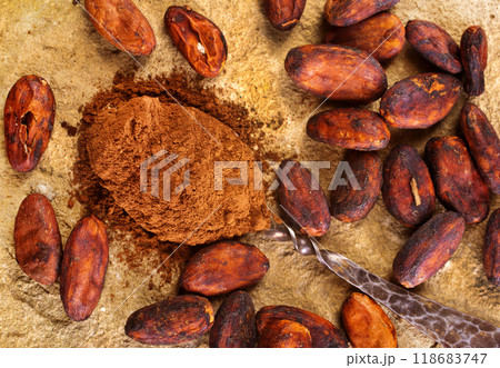 Cocoa powder and cacao beans on stone background Cocoa powder and cacao beans on stone background 118683747
