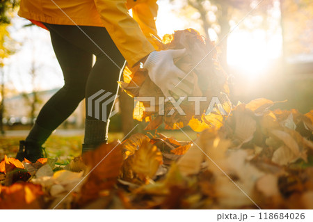 Woman cleans autumn park from yellow leaves. Volunteering, cleaning concept. Seasonal gardening. 118684026