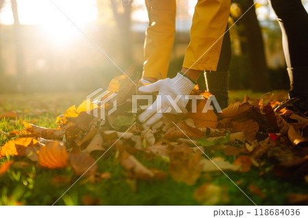 Woman cleans autumn park from yellow leaves. Volunteering, cleaning concept. Seasonal gardening. Woman cleans autumn park from yellow leaves. Volunteering, cleaning concept. Seasonal gardening. 118684036