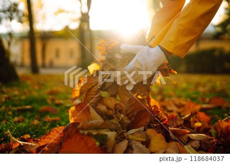 Woman cleans autumn park from yellow leaves. Volunteering, cleaning concept. Seasonal gardening. 118684037