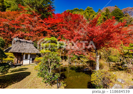 愛知県　香嵐渓の紅葉 118684539