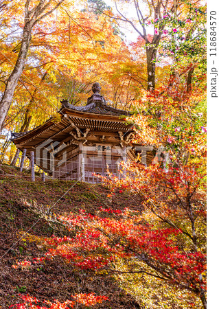 愛知県 香嵐渓の紅葉 愛知県 香嵐渓の紅葉 118684570
