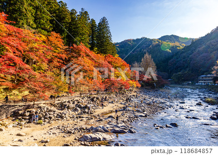 愛知県 香嵐渓の紅葉 愛知県 香嵐渓の紅葉 118684857