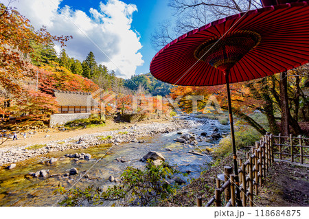 愛知県 香嵐渓の紅葉 愛知県 香嵐渓の紅葉 118684875