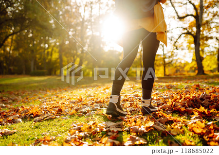 Close-up of feet in hiking boots in clearing among fallen leaves in sunny autumn park. outdoor walk. Close-up of feet in hiking boots in clearing among fallen leaves in sunny autumn park. outdoor walk. 118685022