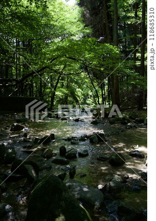 福岡県秋月のだんご庵にある水場 118685310