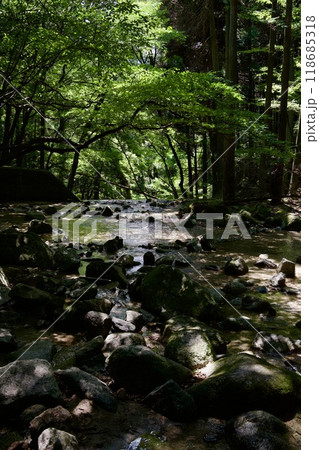 福岡県秋月のだんご庵にある水場 118685318