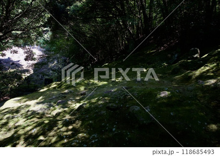 熊本市の平山の岩戸観音の五百羅漢 118685493