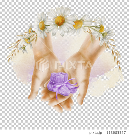 A woman's hands held with love and tenderness a pair of knitted socks in purple color and purple silk ribbon in a bow.Baby booties for newborn baby's feet.watercolor clip art on transparent background A woman's hands held with love and tenderness a pair of knitted socks in purple color and purple silk ribbon in a bow.Baby booties for newborn baby's feet.watercolor clip art on transparent background 118685537