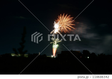 第44回いたみ花火大会（2024年8月） 118686342