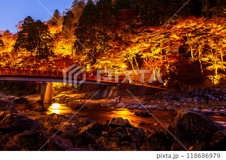 愛知県　香嵐渓の紅葉ライトアップ 118686979