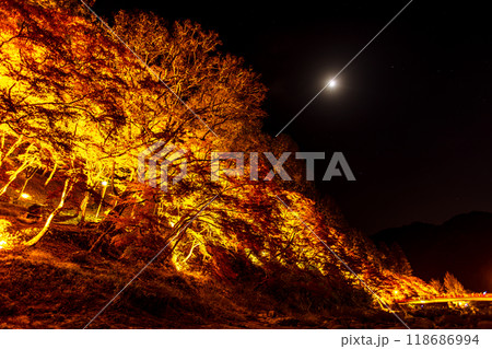 愛知県　香嵐渓の紅葉ライトアップ 118686994