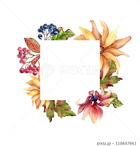 Colorful fall watercolor frame of yellow rudbeckia flower and chokeberry isolated. Coneflowers, daisy, maple leaves and rowan hand drawn botanical border. Autumn blooms and berries hand painted. 118687661