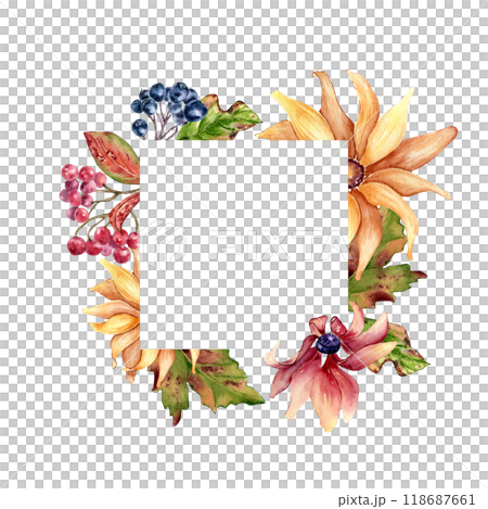 Colorful fall watercolor frame of yellow rudbeckia flower and chokeberry isolated. Coneflowers, daisy, maple leaves and rowan hand drawn botanical border. Autumn blooms and berries hand painted. 118687661