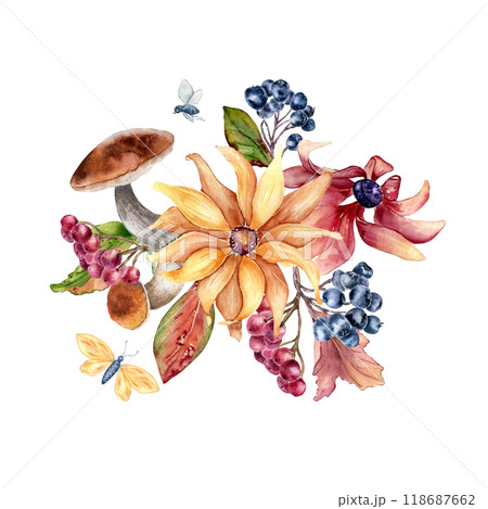 Yellow flower rudbeckia with forest nature elements watercolor composition isolated. Autumn illustration with mushrooms, black chokeberry and butterfly hand drawn. Fall plants in botanical sketch. Yellow flower rudbeckia with forest nature elements watercolor composition isolated. Autumn illustration with mushrooms, black chokeberry and butterfly hand drawn. Fall plants in botanical sketch. 118687662