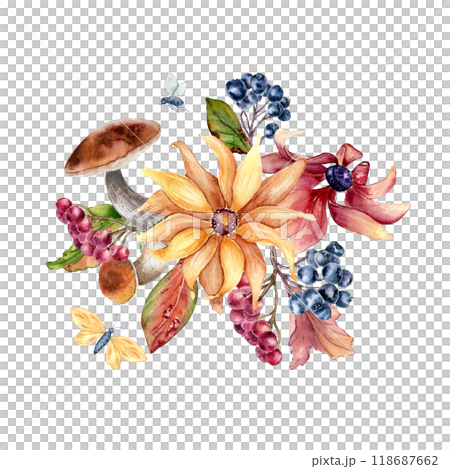 Yellow flower rudbeckia with forest nature elements watercolor composition isolated. Autumn illustration with mushrooms, black chokeberry and butterfly hand drawn. Fall plants in botanical sketch. Yellow flower rudbeckia with forest nature elements watercolor composition isolated. Autumn illustration with mushrooms, black chokeberry and butterfly hand drawn. Fall plants in botanical sketch. 118687662