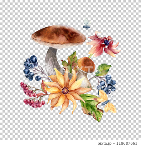 Watercolor autumn composition with mushrooms, berries, flowers, and butterfly isolated on white. Floral illustration of fall leaves and porcini hand painted for seasonal nature design, greetings. Watercolor autumn composition with mushrooms, berries, flowers, and butterfly isolated on white. Floral illustration of fall leaves and porcini hand painted for seasonal nature design, greetings. 118687663
