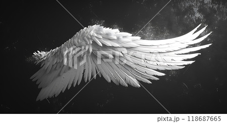 羽 絵 アヒルのアート作品 羽毛デザイン 現品 ‼️転載禁止‼️ 羽を広げた天使の羽のイラスト素材 [118687665] - PIXTA